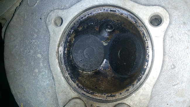 20190119_145829.jpg (516.35 Kio) Vu 15277 fois Après 25h