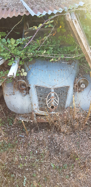 20190911_180757.jpg (587.21 Kio) Vu 5631 fois Voilà Voilà...