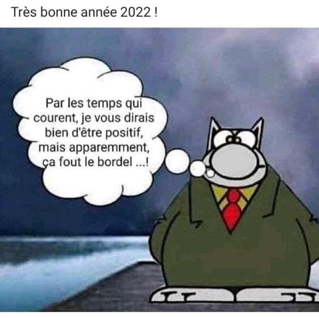 Pensée du Chat.jpeg