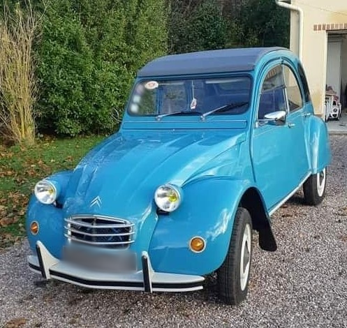 313286849_497723048949945_7362922785899179933_n (2).png