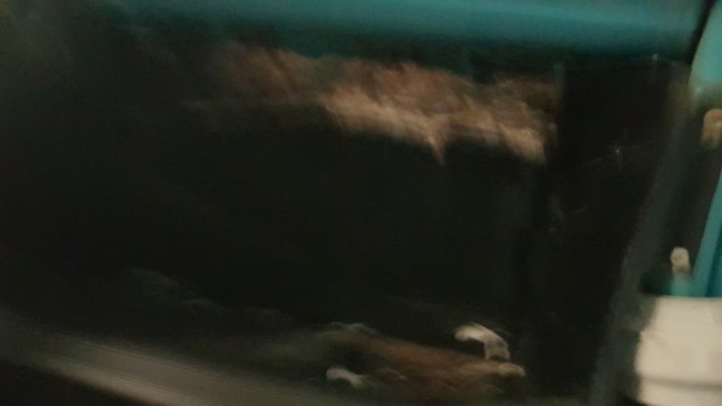 20221219_090420.jpg