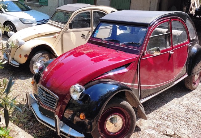 IMG_20230515_151028.jpg (362.11 Kio) Vu 2623 fois après restauration avec sa soeur