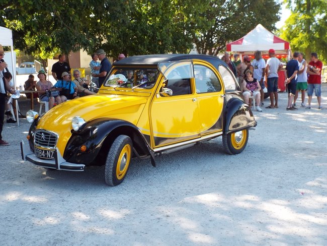 Une Charleston jaune et noir.