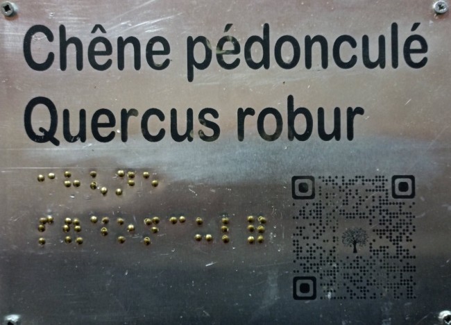 Plaque botanique.jpg