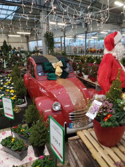 IMG20251122165735.jpg (193.53 Kio) Vu 67 fois une belle 2cv 6 !