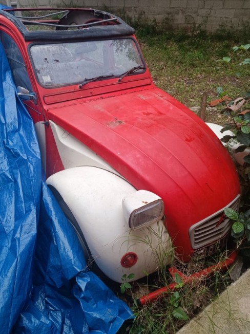 IMG_20260119_143131 (1).jpg