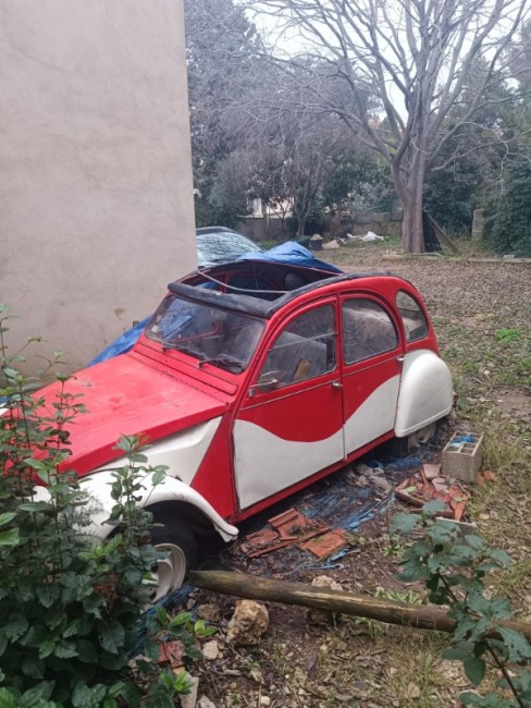 IMG_20260119_143131 (2).jpg