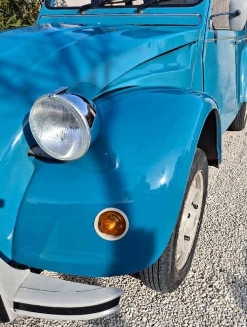 Ailes gauche montée