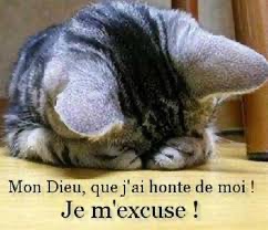 J'ai honte.jpeg