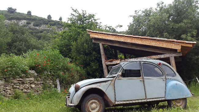 La titine dans le jardin