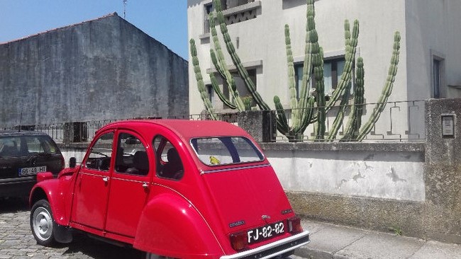 Une 2cv avec ses cactus