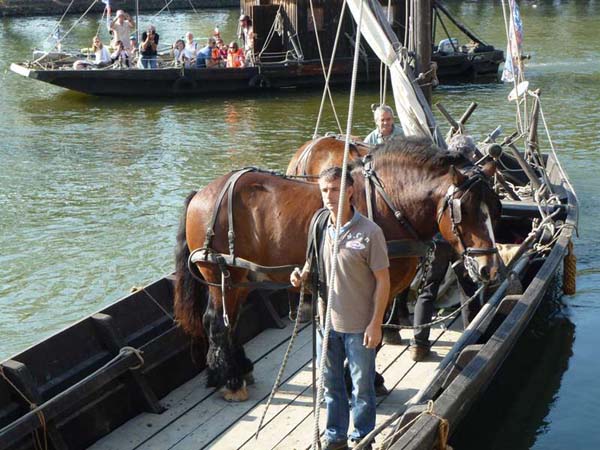 2 chevaux bac.jpg