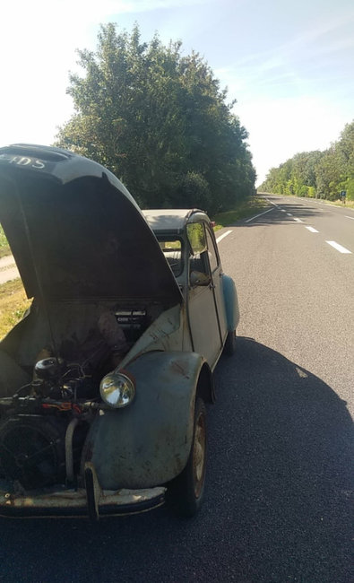 received_229080454423091.jpeg (285.87 Kio) Vu 7426 fois Pause refroidissement pour titine