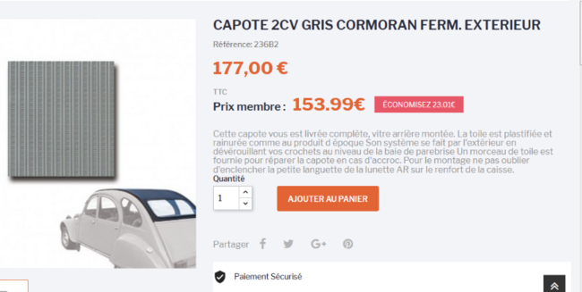 Capote gris Cormoran.PNG