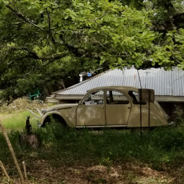 moteur 2 cv qui tressaute en 4ème - 2cv-legende.com