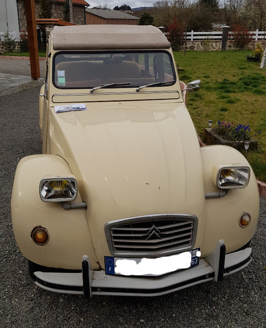 20190408_083103.jpg