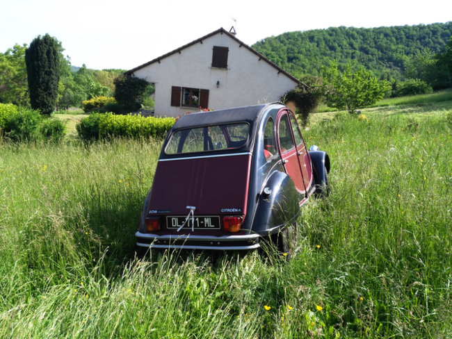 Rouler dans l'herbe folle