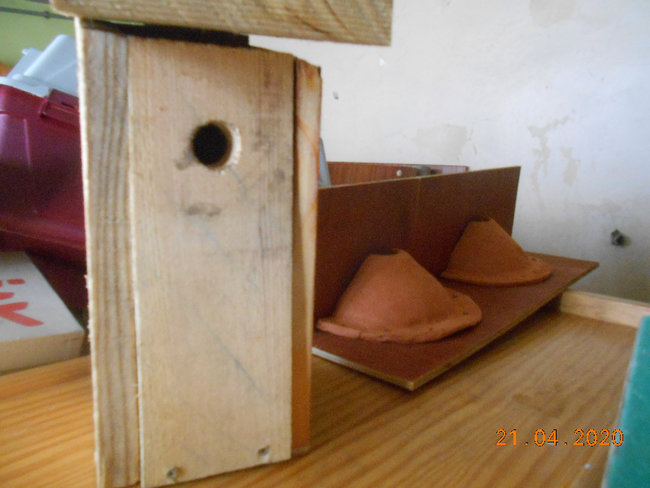 DSCN8295.JPG