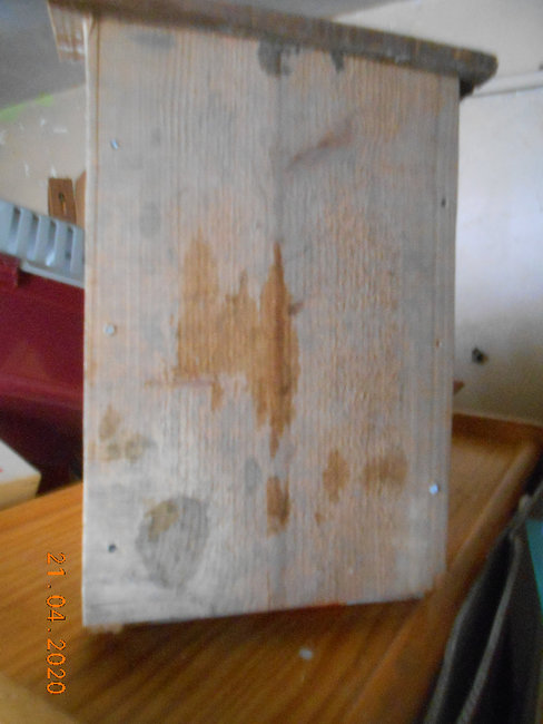 DSCN8296.JPG