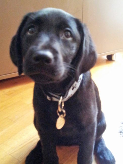 20140826_161515.jpg