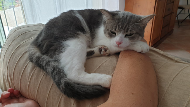 20191006_163713.jpg