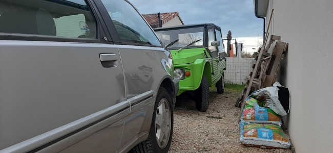 Photo_Mehari.jpg