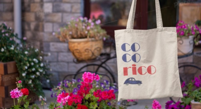 tote bag cocorico 2cv.jpg