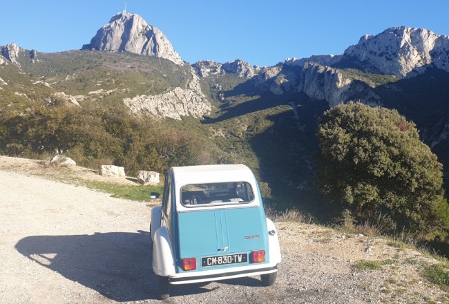 20220106_183301.jpg (310.43 Kio) Vu 2711 fois Elle bronze