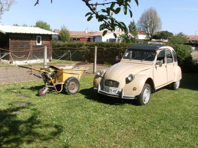 Ma douce dans son jus, en compagnie d'une petite brouette basculante bien pratique pour les travaux de jardin