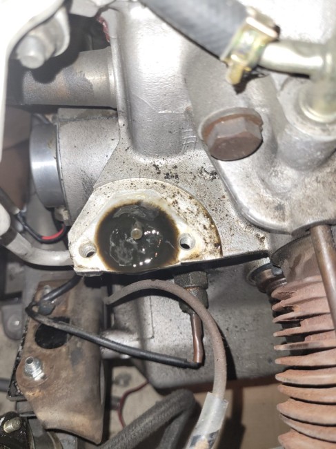 20230503_181641.jpg (249.96 Kio) Vu 6984 fois Normal?