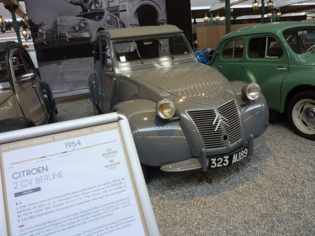P1180339.JPG