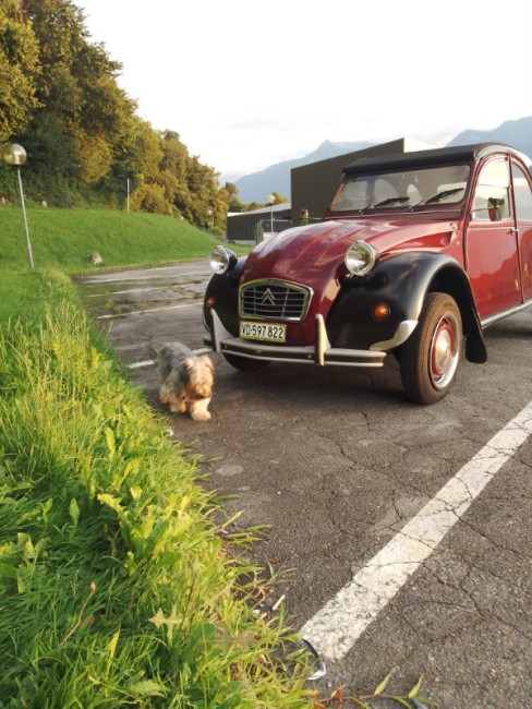 IMG_20210719_204409971.jpg (209.53 Kio) Vu 1370 fois ma titine de 83