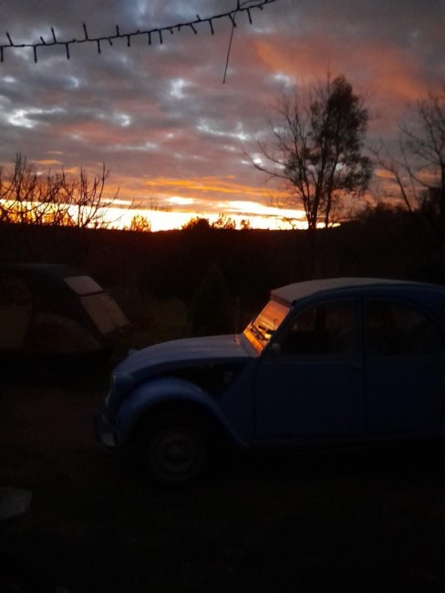 lever de soleil sur un troupeau de deuch!.jpg