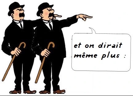 61.jpg