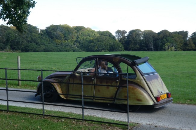 2CV_Rat_(1987).jpg