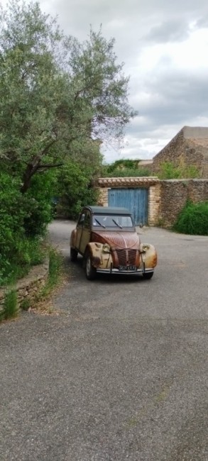 fury road de face.jpg