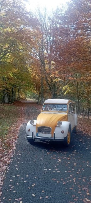 automne1b-min.jpg