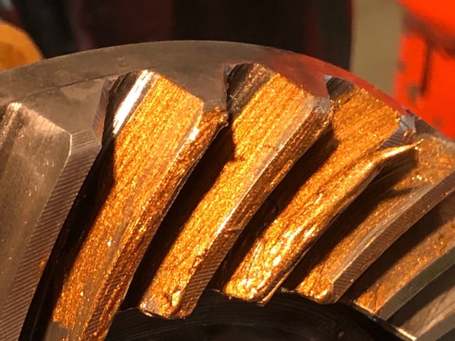 2024 - 02 - Fév 29 - 52.jpeg